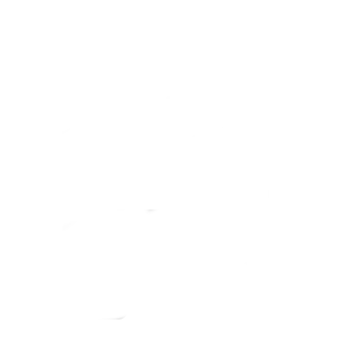 piese autocare logo
